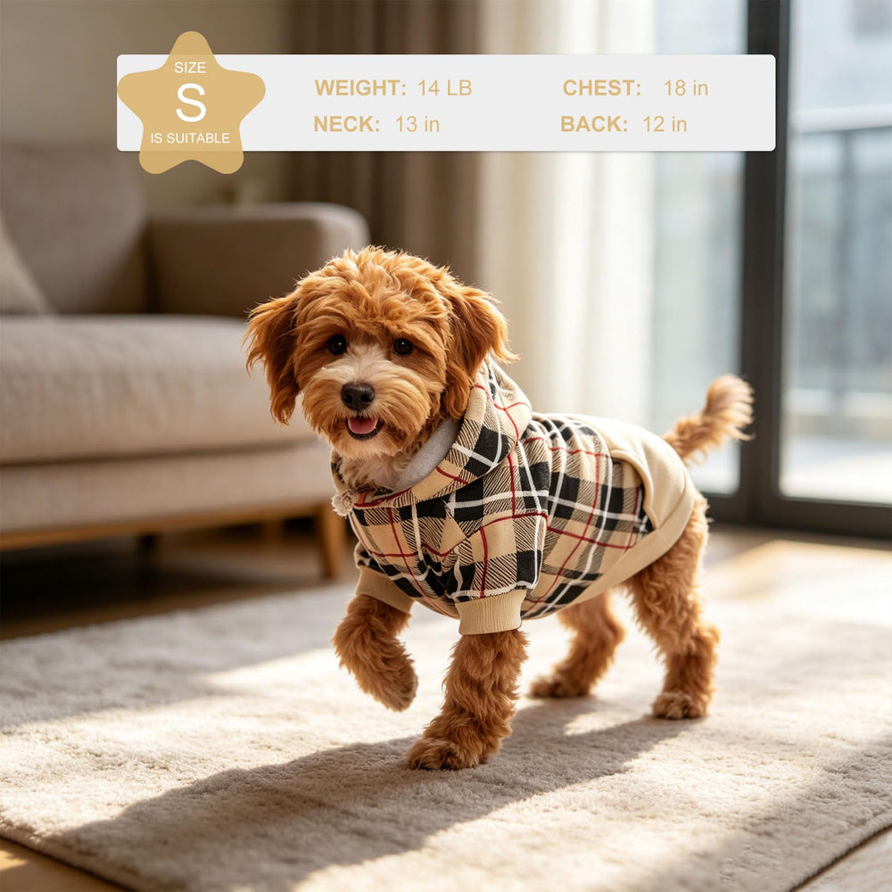 EXPAWLORER chien portant le sweat en promenade pour protection