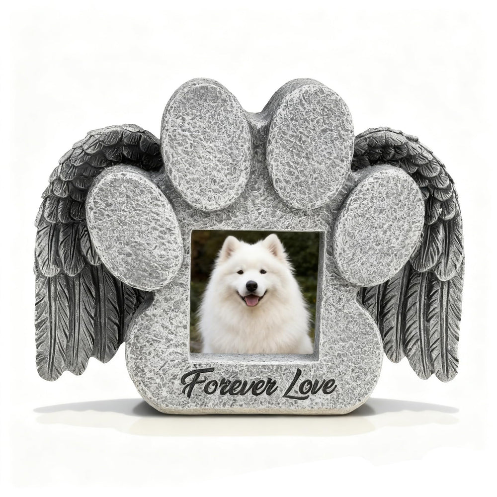 EXPAWLORER texture résine durable montrant résistance extérieure