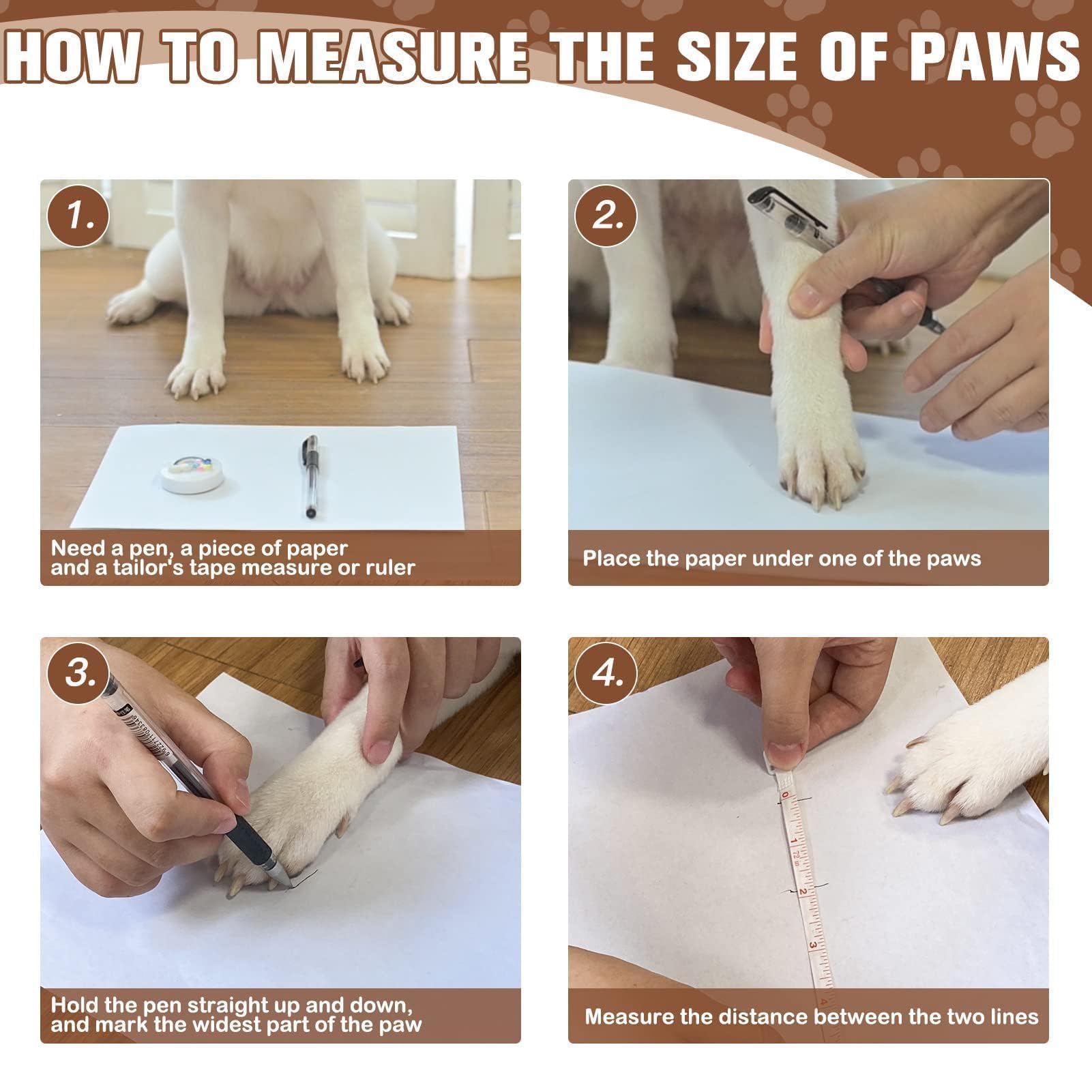 EXPAWLORER usage intérieur sur parquet évitant les glissades