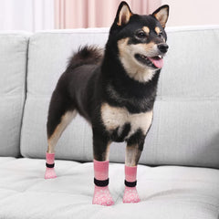 EXPAWLORER chien en promenade avec bottines pour trottoir chaud