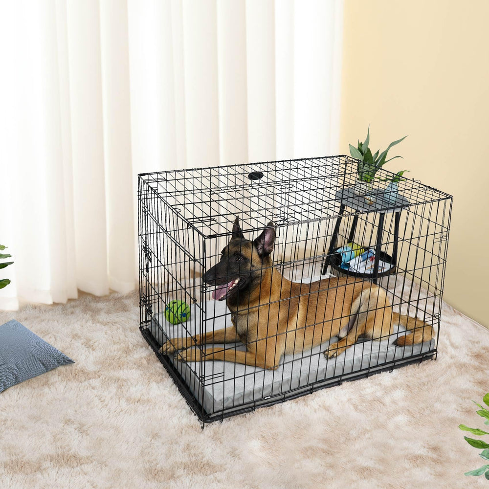 Explore Land chien allongé sur housse illustrant confort apaisant
