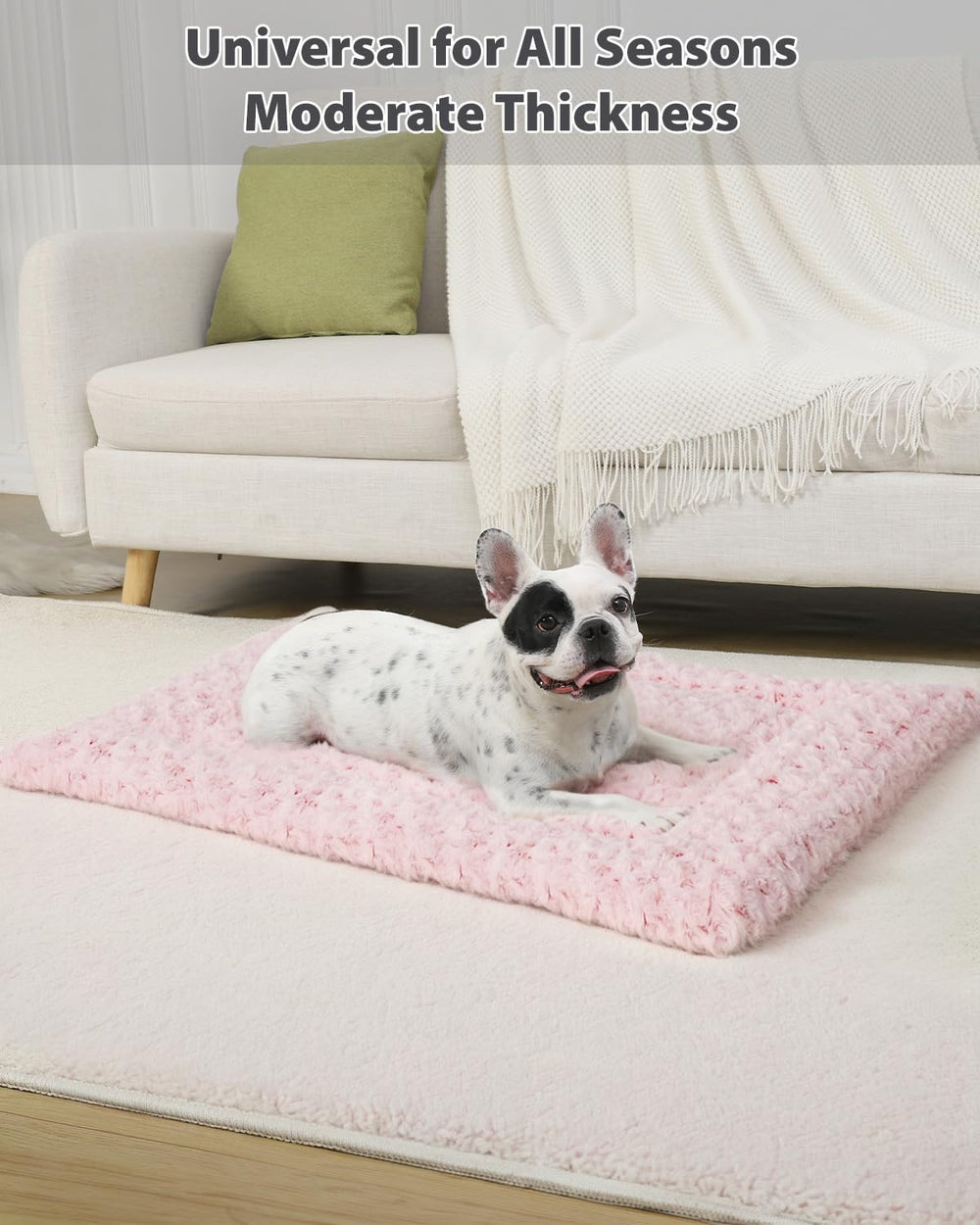 Exsnugy tapis avec chien pour comparaison de taille et ajustement