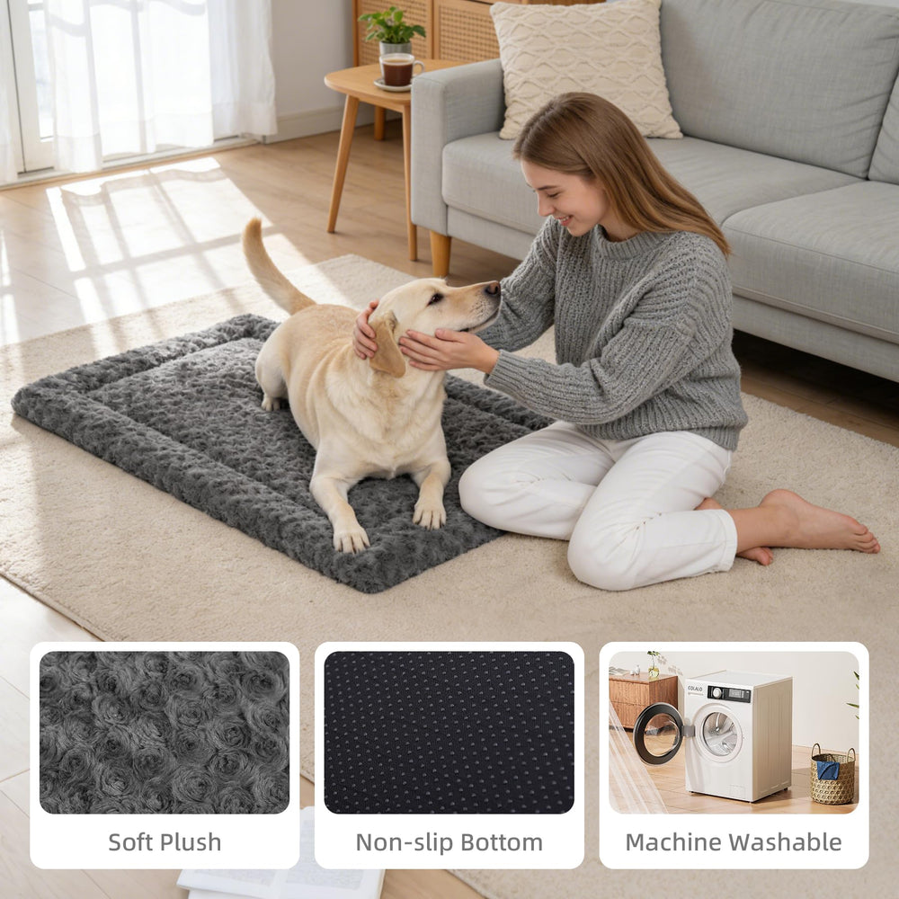 Exsnugy tapis utilisé sur un canapé pour confort intérieur et propreté