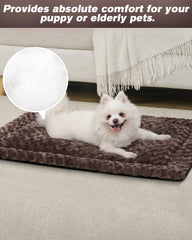 Exsnugy tapis placé dans une caisse pour meilleur ajustement