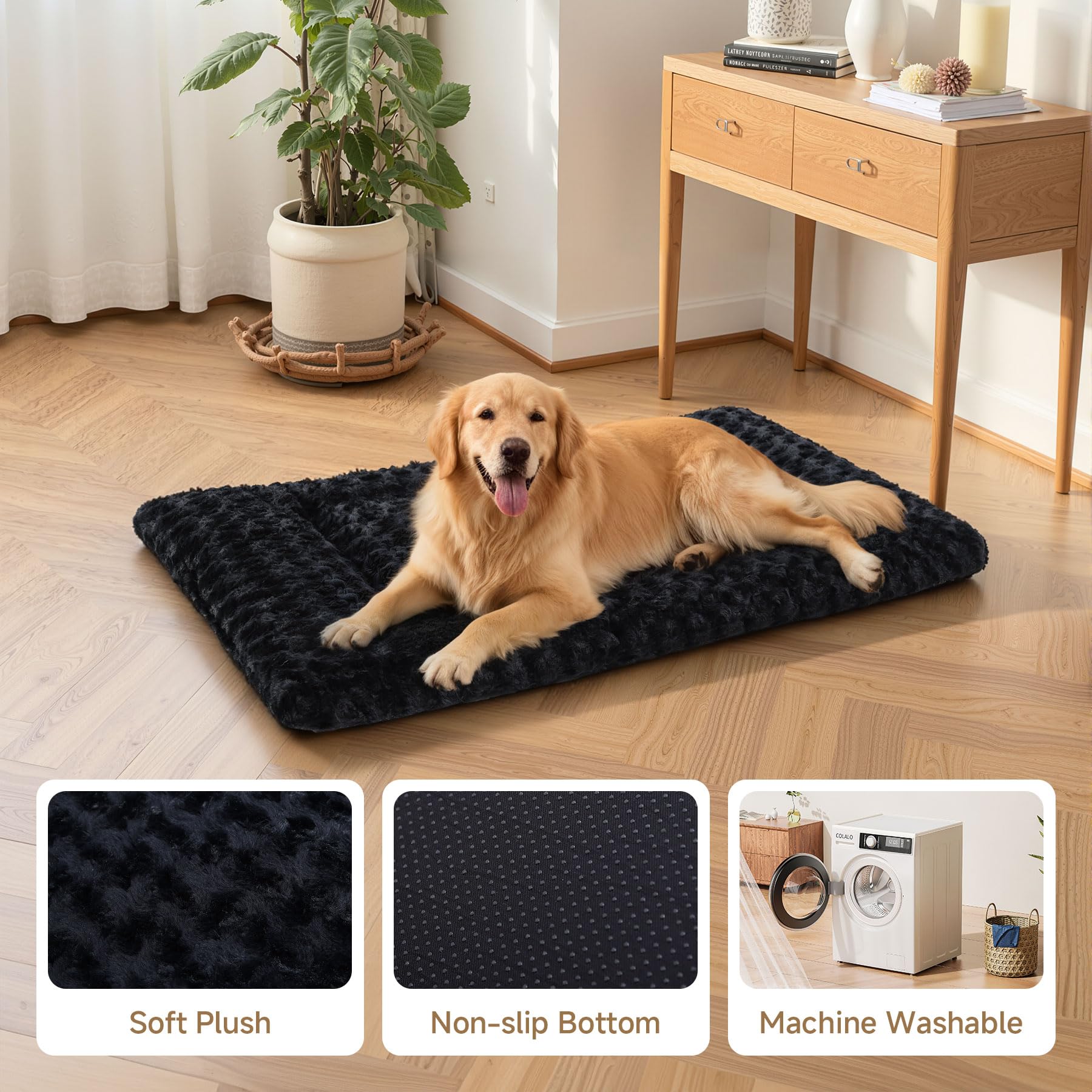 Exsnugy chien allongé sur le tapis illustrant repos amélioré