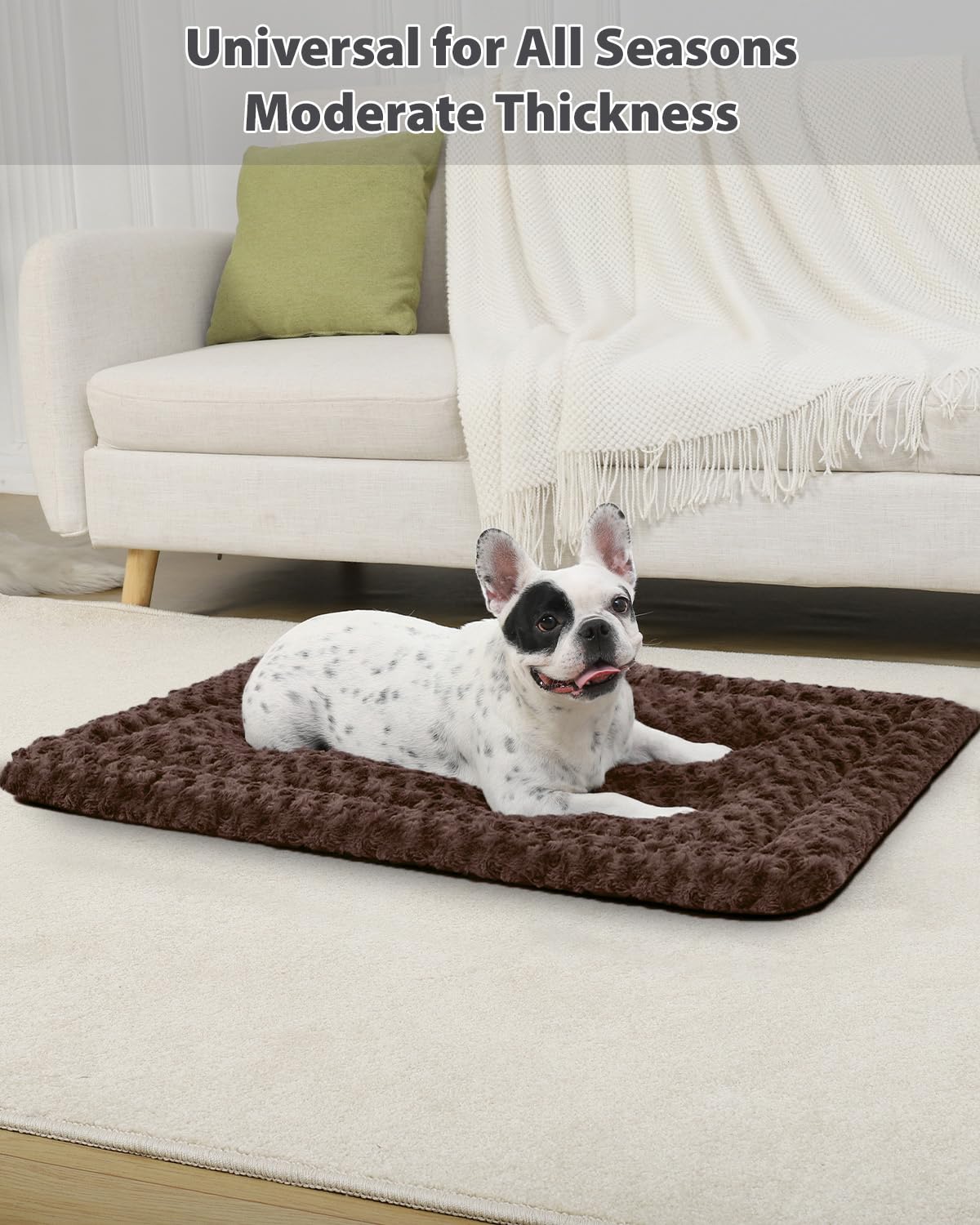 Exsnugy gros plan peluche 300gsm pour confort apaisant