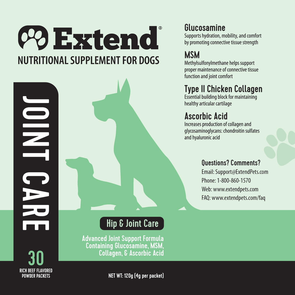 Extend chien actif promenade illustrant soutien mobilité et confort