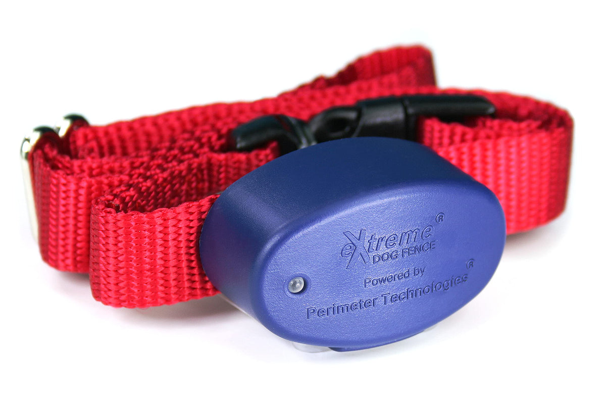 Extreme Dog Fence collier vue face montrant design durable et contrôle fiable
