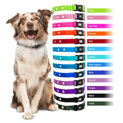 Extreme Dog Fence détail de la boucle courbée garantissant verrouillage sûr