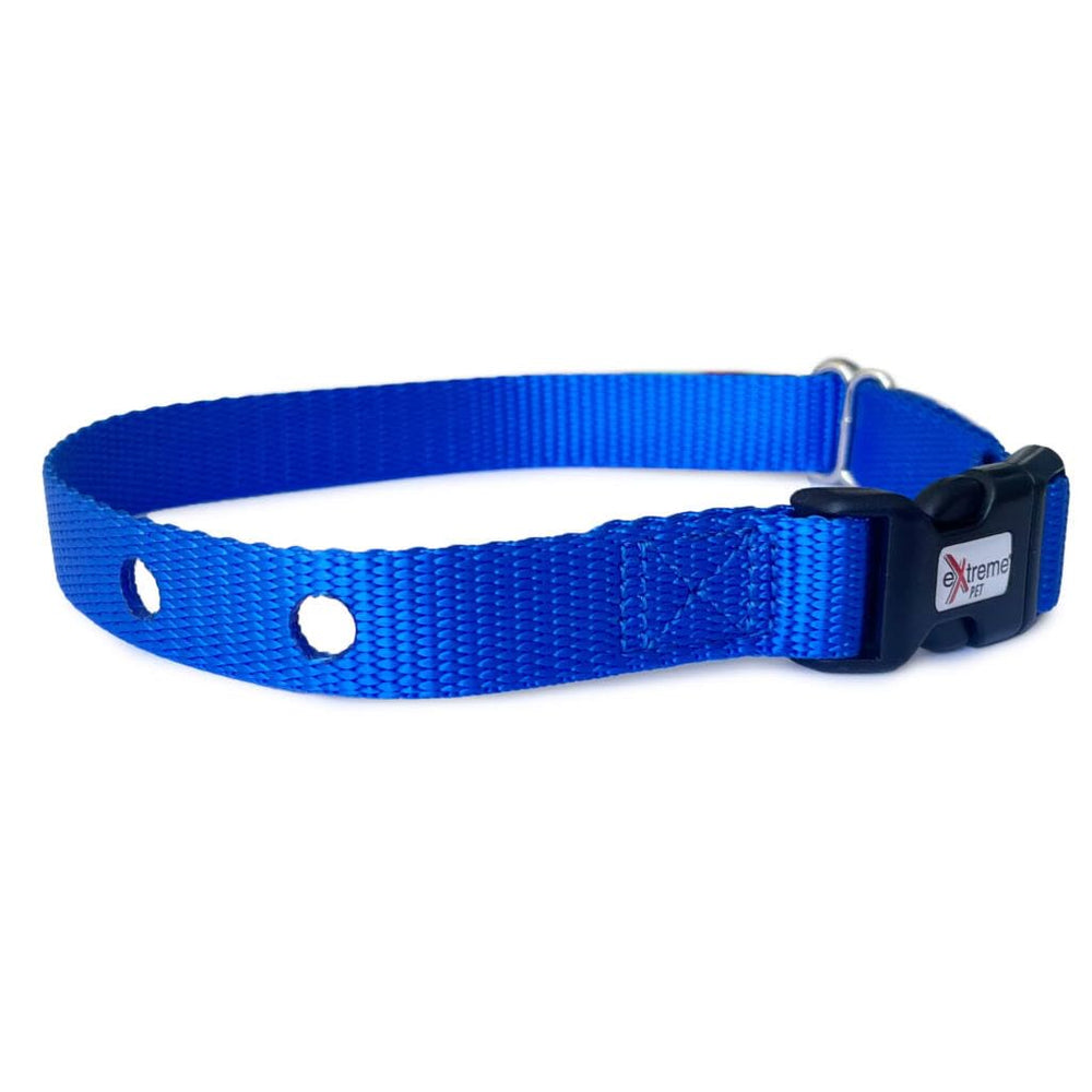 Extreme Dog Fence sangle face avant montrant coupe et couleur bleue durable