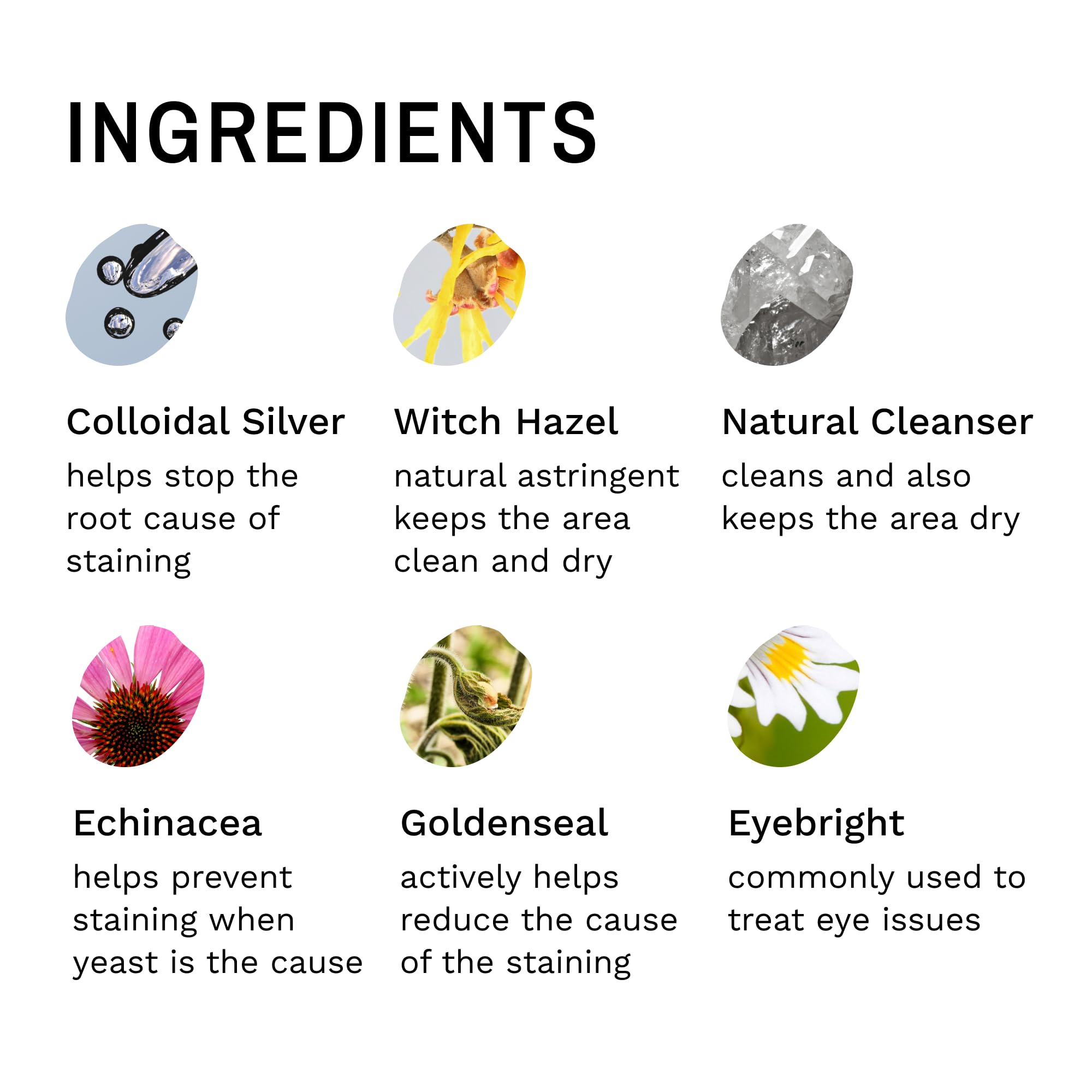 Eye Envy application sur chien blanc pour réduire taches et humidité
