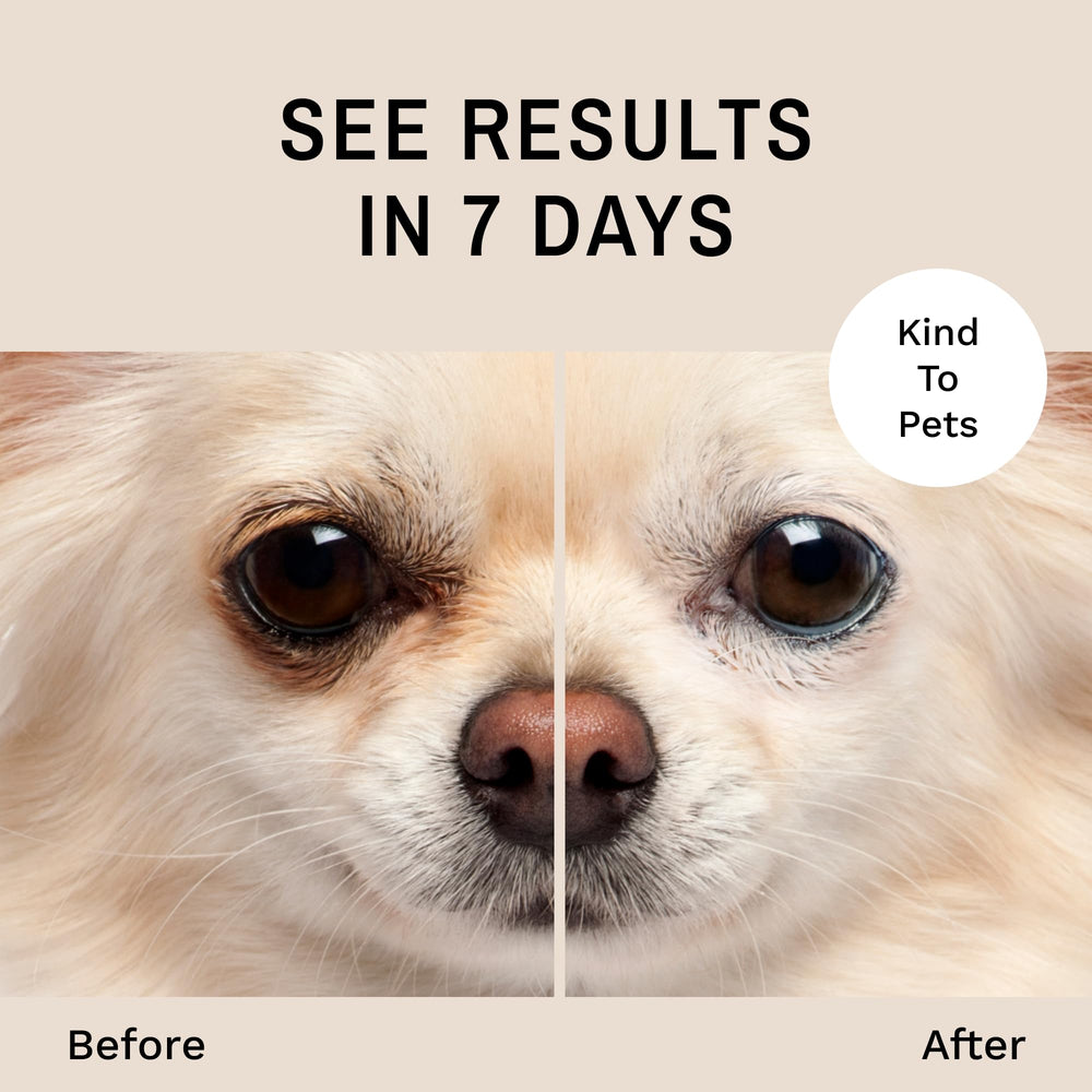 Eye Envy solution sur pads démontrant application douce et efficace