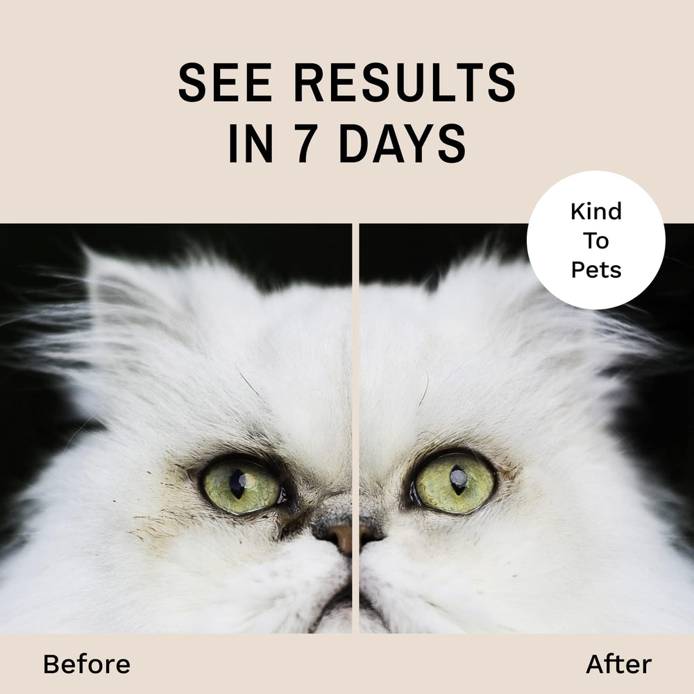 Eye Envy lingette utilisée sur un chat pour nettoyer croûtes et sécrétions