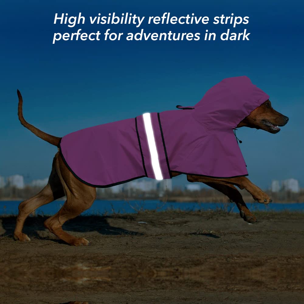 Ezierfy capuche ajustable protégeant tête et oreilles du chien