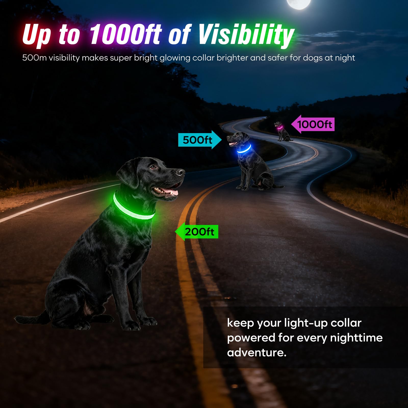 Ezierfy collier porté lors d'une promenade nocturne augmentant visibilité