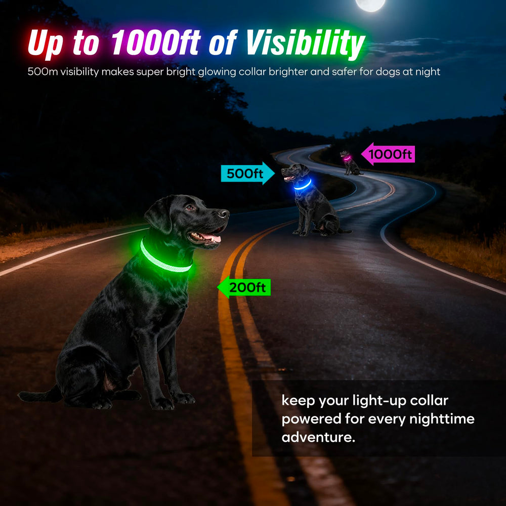 Ezierfy collier porté lors d'une promenade nocturne augmentant visibilité