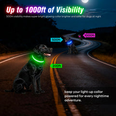 Ezierfy collier porté lors d'une promenade nocturne augmentant visibilité