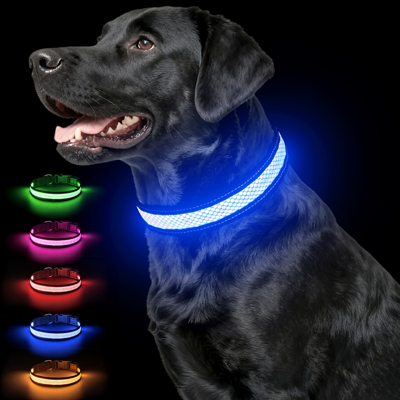 Ezierfy collier LED vue avant montrant la bande lumineuse pour sécurité visible