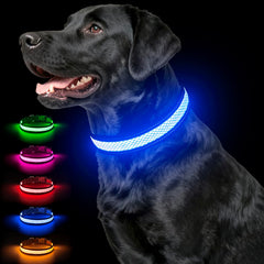 Ezierfy collier LED vue avant montrant la bande lumineuse pour sécurité visible
