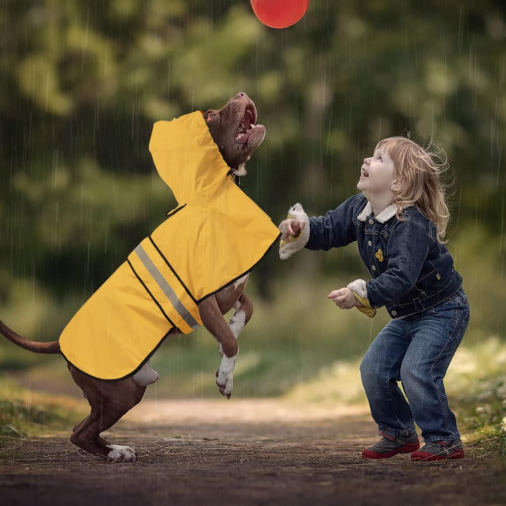 ezierfy trois tailles portées par chiens, ajustement adapté