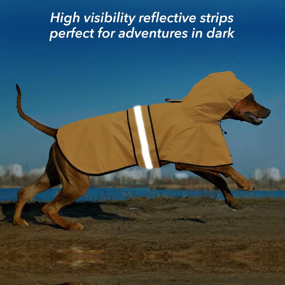 Ezierfy deux chiens portant manteau comparaison tailles pratique