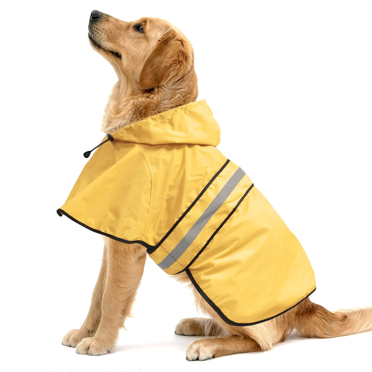 ezierfy manteau de face protégeant chien, visibilité accrue