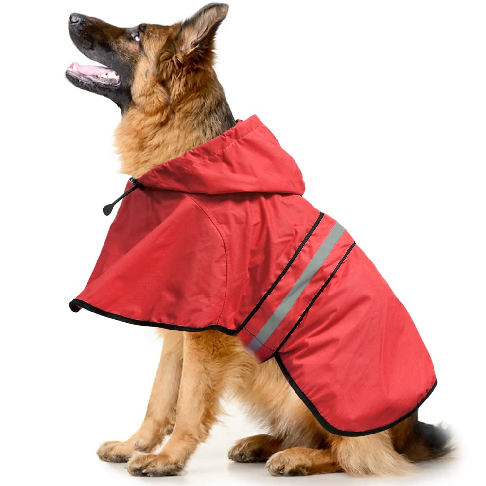 Ezierfy manteau porté par chien rouge visible en promenade
