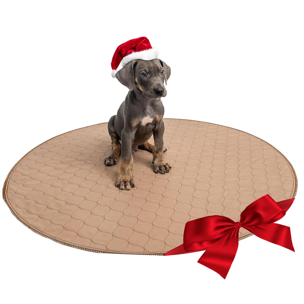 EZwhelp tapis à l’échelle avec chien, visualisation taille réelle