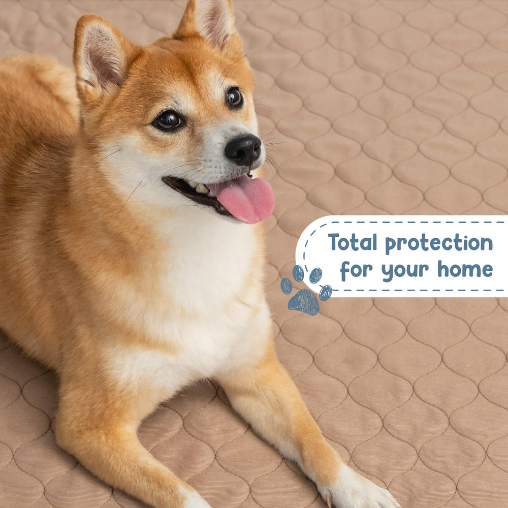EZwhelp comparaison d'échelle montrant la taille 48x60 pouces pour grands animaux