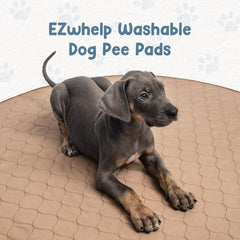 EZwhelp gros plan texture polyester brossé, douceur pour animal