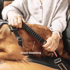 EzyDog boucle en acier roulé à froid montrant solidité