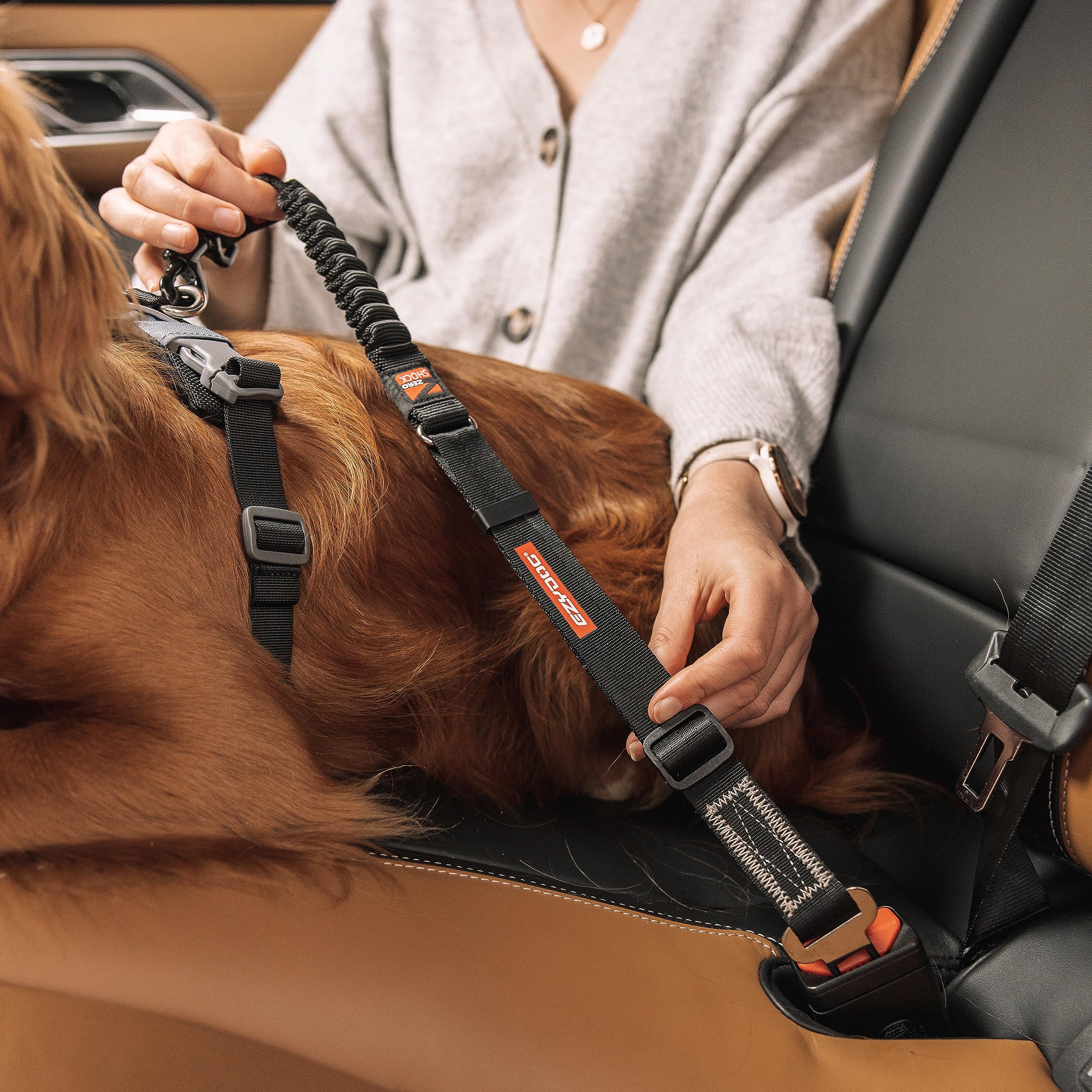 EzyDog démonstration réglage 20 à 26 pouces, ajustement facile