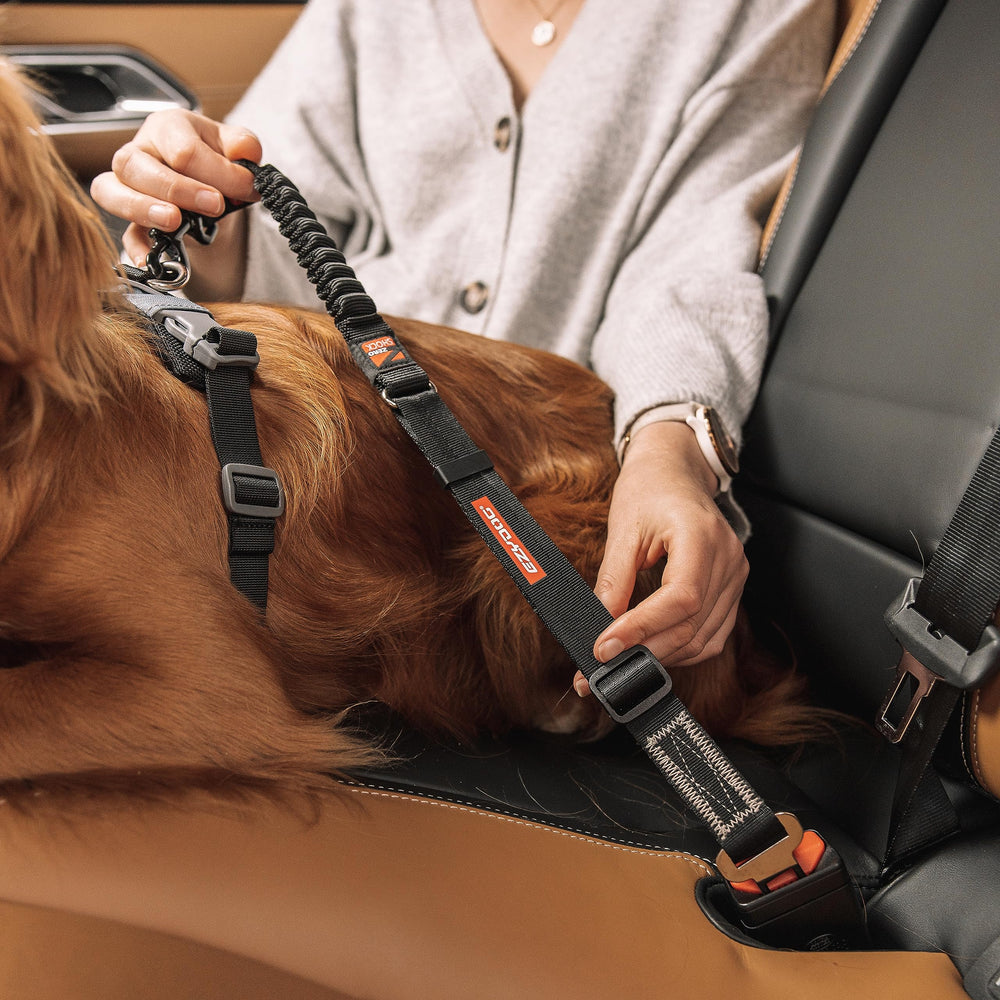 EzyDog démonstration réglage 20 à 26 pouces, ajustement facile