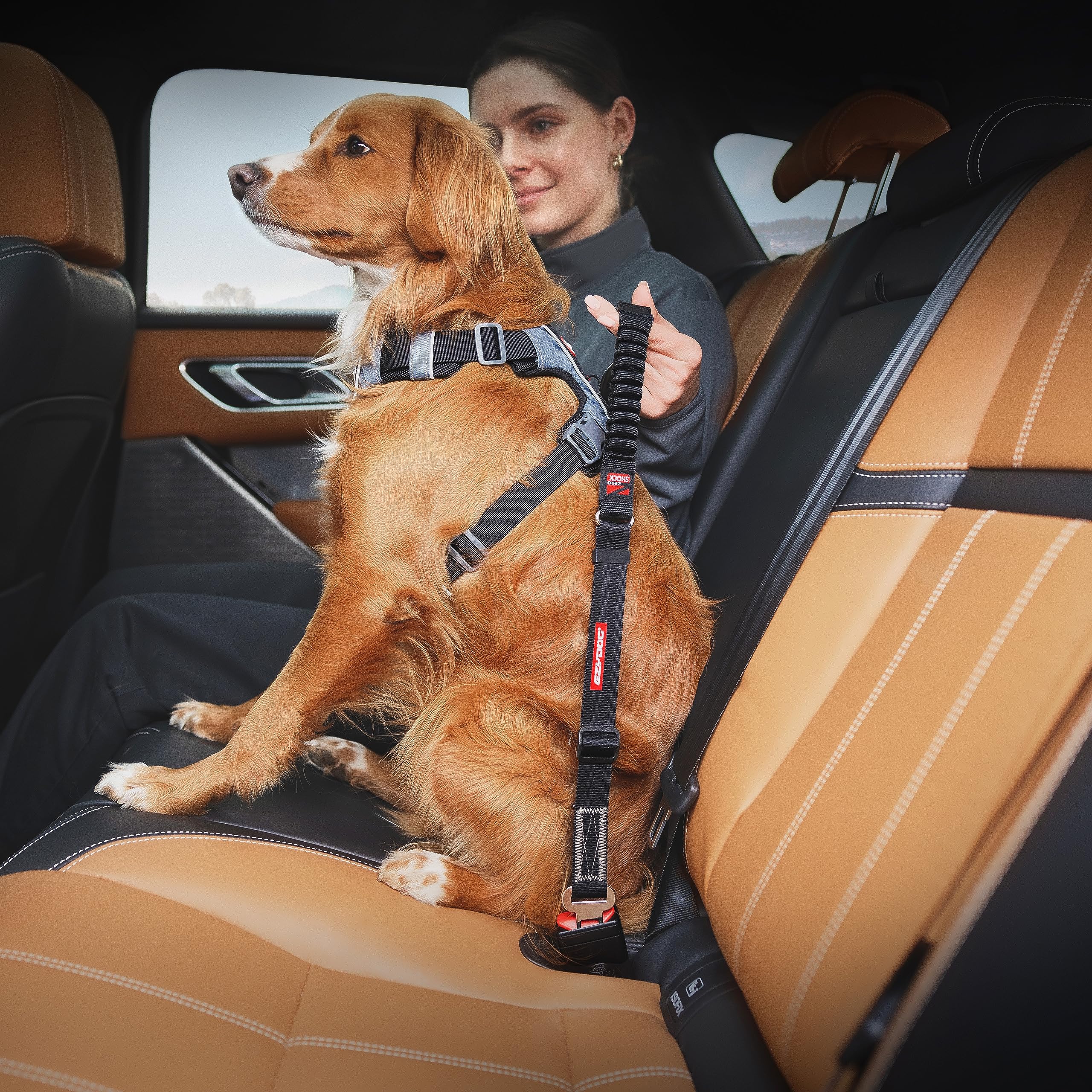 EzyDog gros plan sangle nylon, résistance à l'abrasion