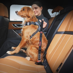EzyDog gros plan sangle nylon, résistance à l'abrasion