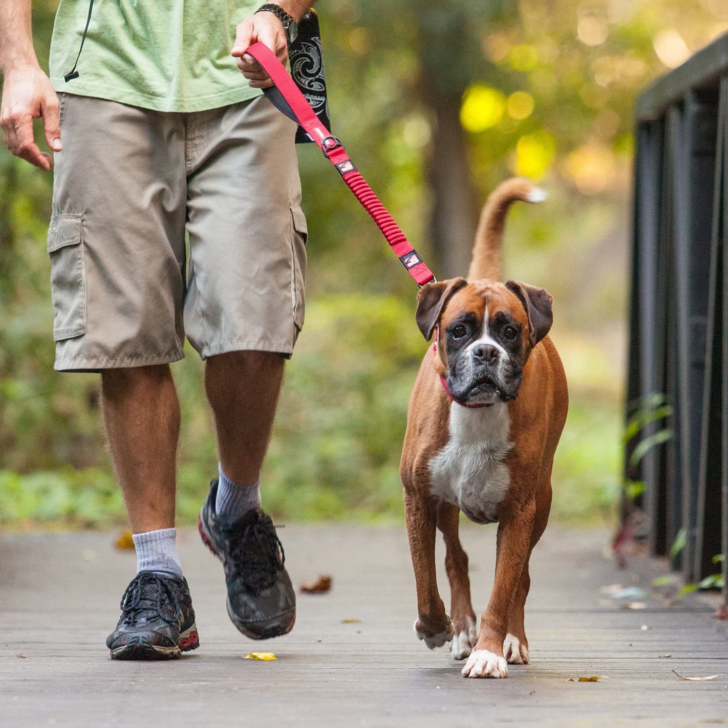 EzyDog Zero Shock promenade urbaine montrant contrôle et sécurité