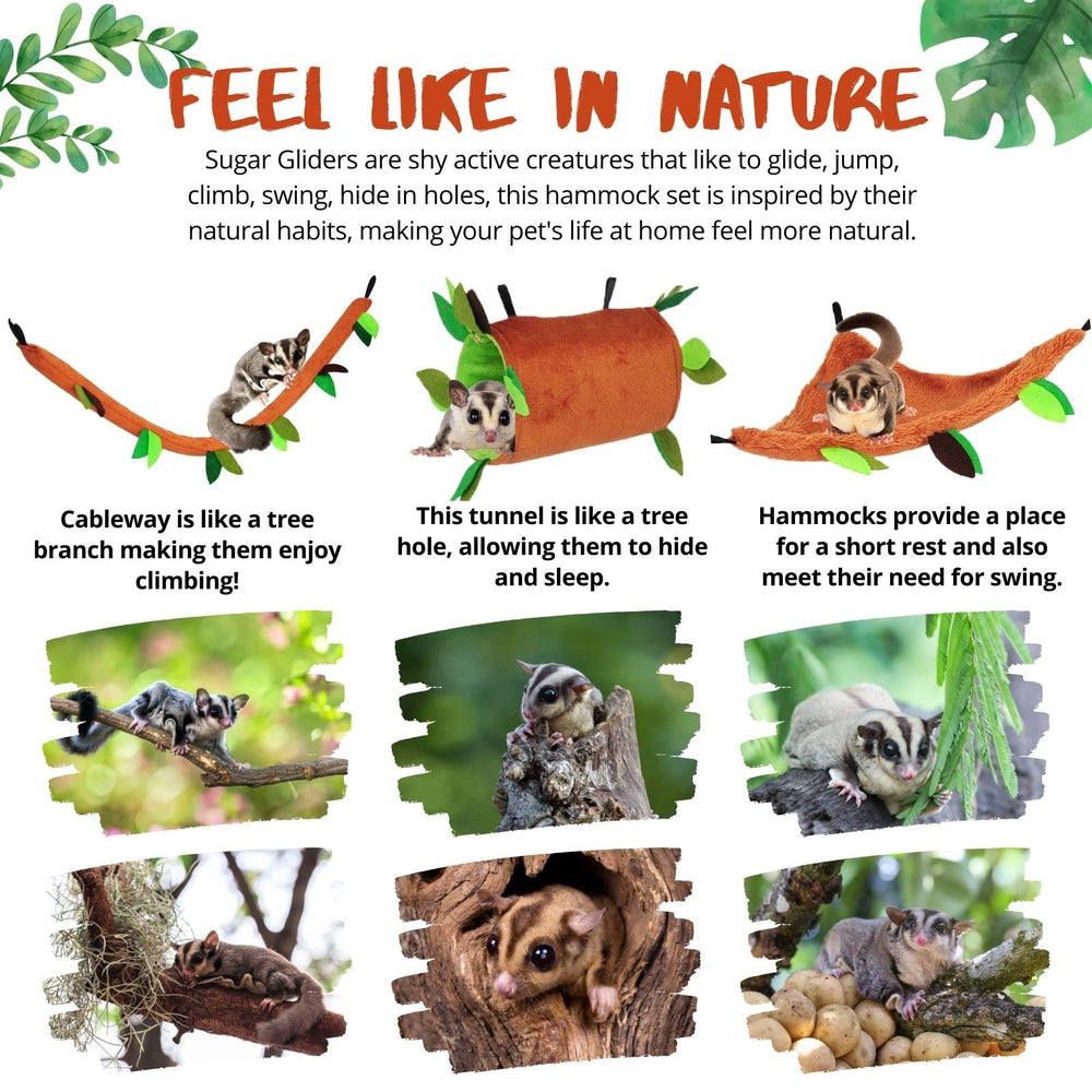 Fabmode balancelle en action avec animal montrant stimulation ludique
