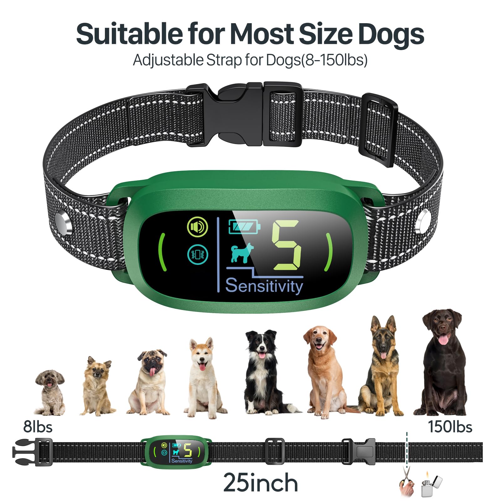 FAFAFROG collier en usage sur chien dans jardin pour entraînement quotidien