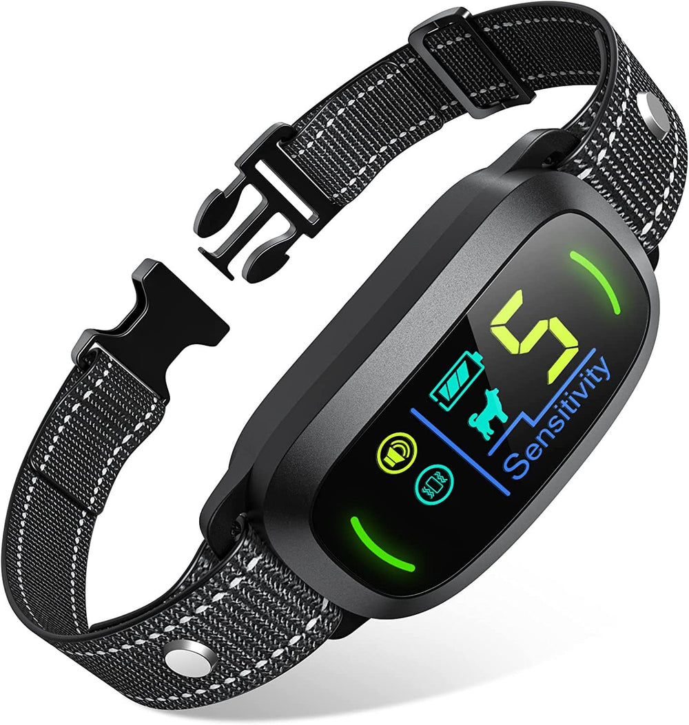 FAFAFROG collier face avant montrant le design et facilité d'utilisation