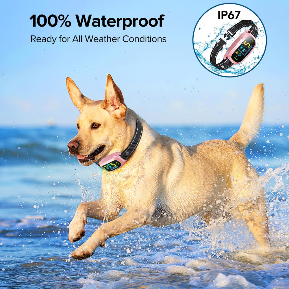 FAFAFROG collier sous l'eau démontrant étanchéité IP67 et liberté