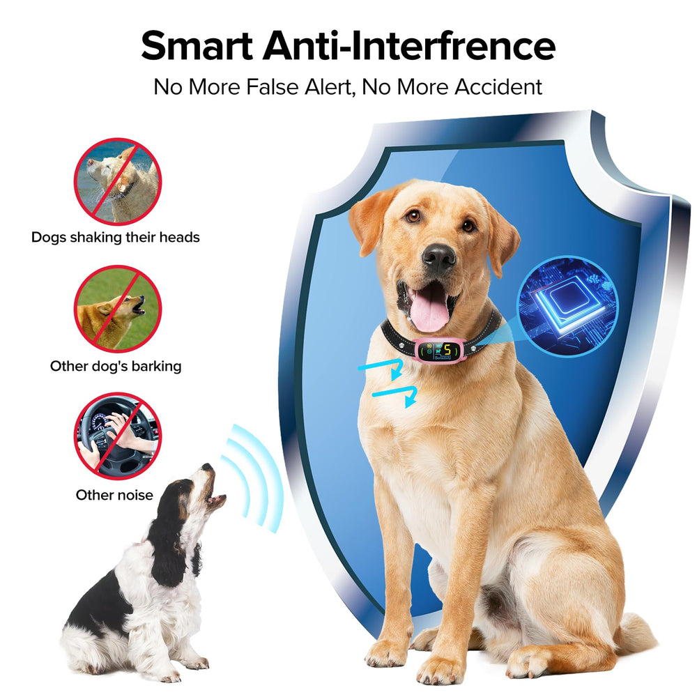 FAFAFROG collier porté sur grand chien en extérieur réduit aboiements