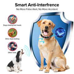 FAFAFROG collier porté sur grand chien en extérieur réduit aboiements