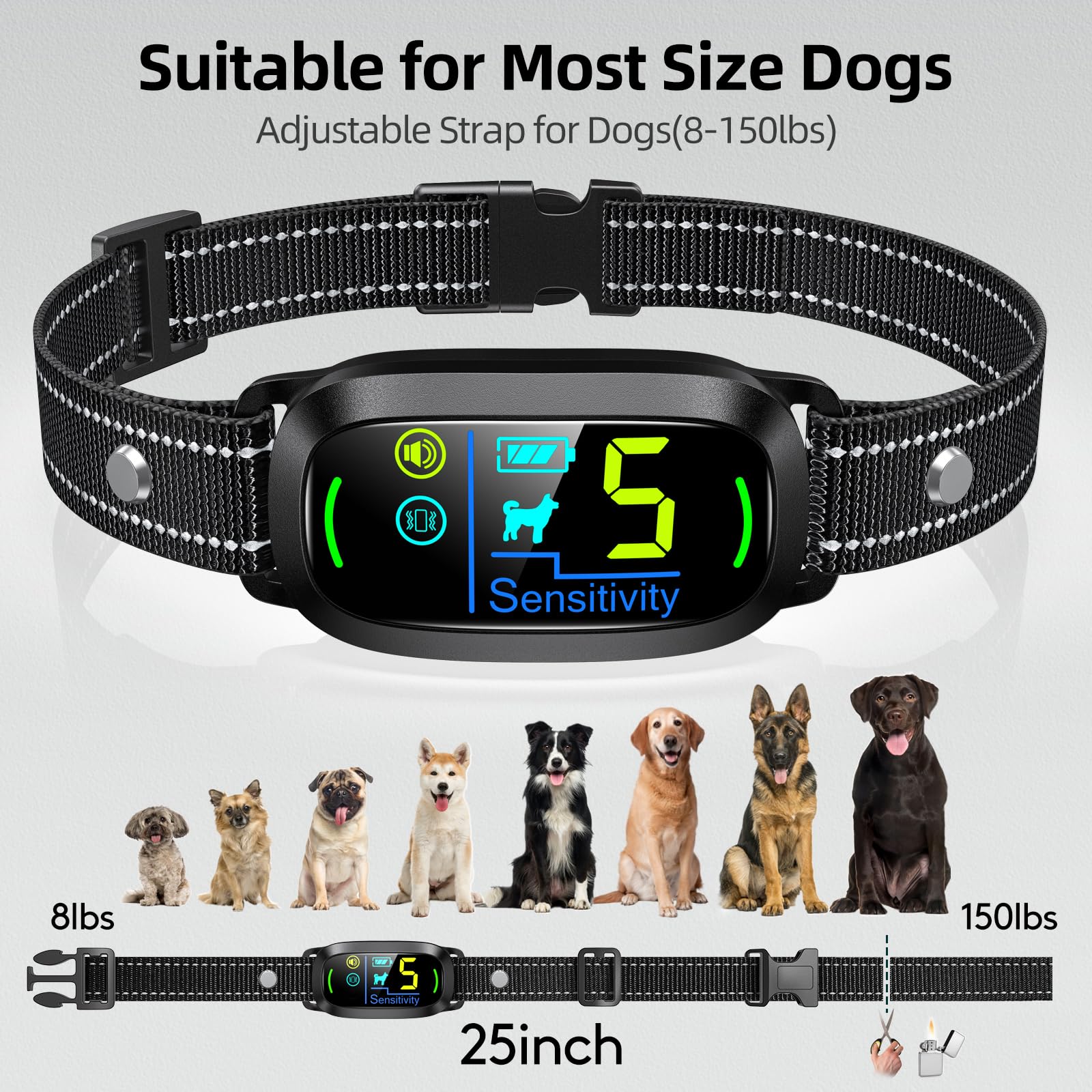 FAFAFROG comparaison taille montrant ajustement pour différents chiens