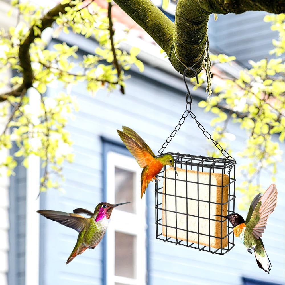 FaHuoJiuKa mangeoire accrochée au balcon attirant oiseaux en milieu urbain