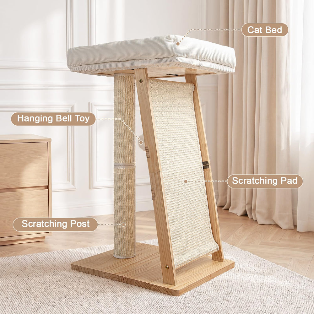 Famifit echelle et proportions taille pour chats moyens et grands
