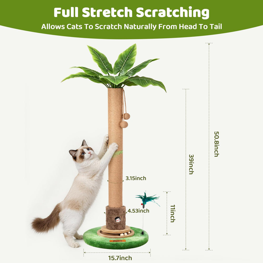 Famifit comparaison taille montrant 129 cm pour étirements complets