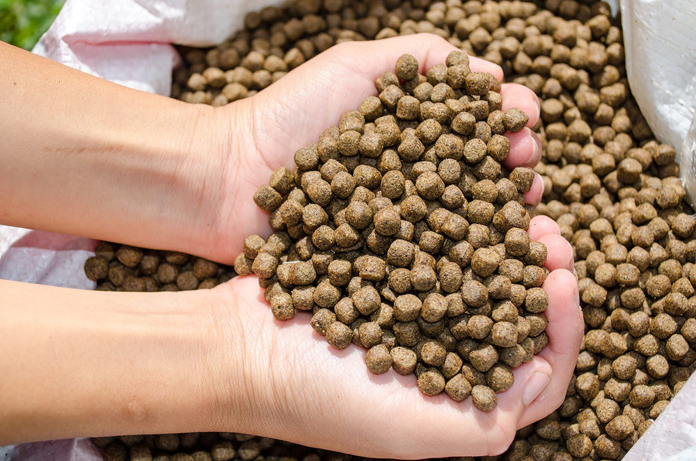 Family Farm and Feed zoom sur texture garantissant absorption et flottabilité