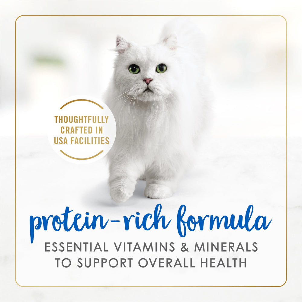 Fancy Feast dans une assiette servie à un chat pour un repas attractif