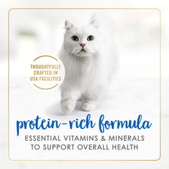 Fancy Feast dans une assiette servie à un chat pour un repas attractif