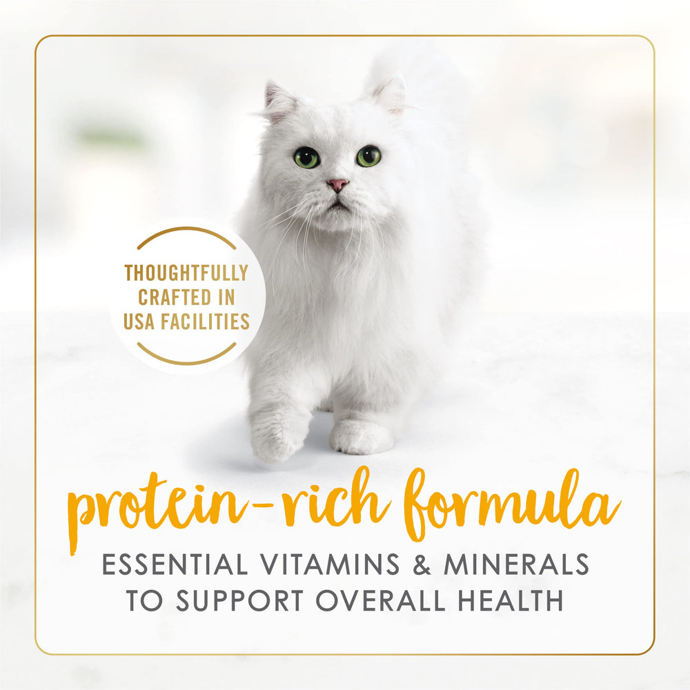 Purina Fancy Feast servie dans une assiette pour chat encourageant la prise alimentaire
